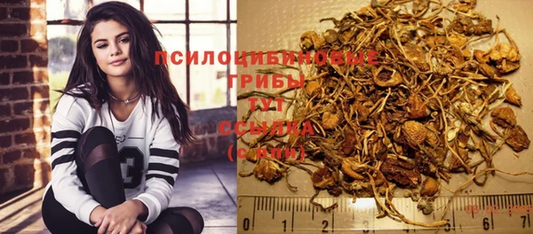 гидра Надым