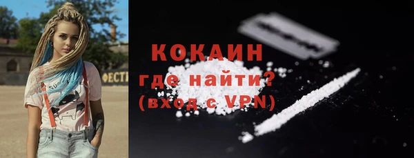 гидра Надым