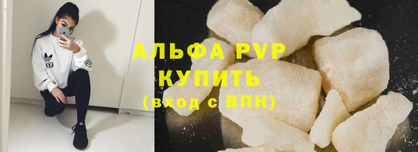 гидра Надым