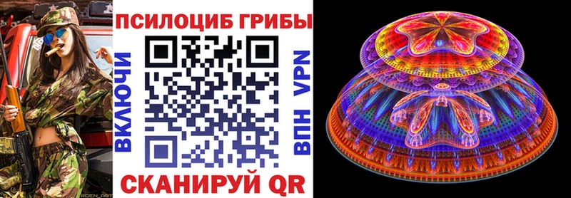 Галлюциногенные грибы Psilocybe  Темрюк 